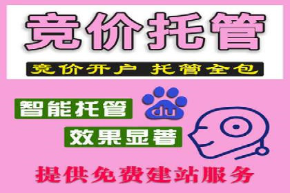 信息流托管在电商领域的应用案例